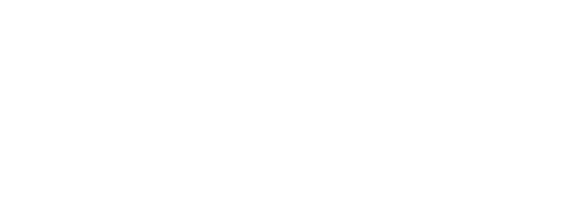 Wolt